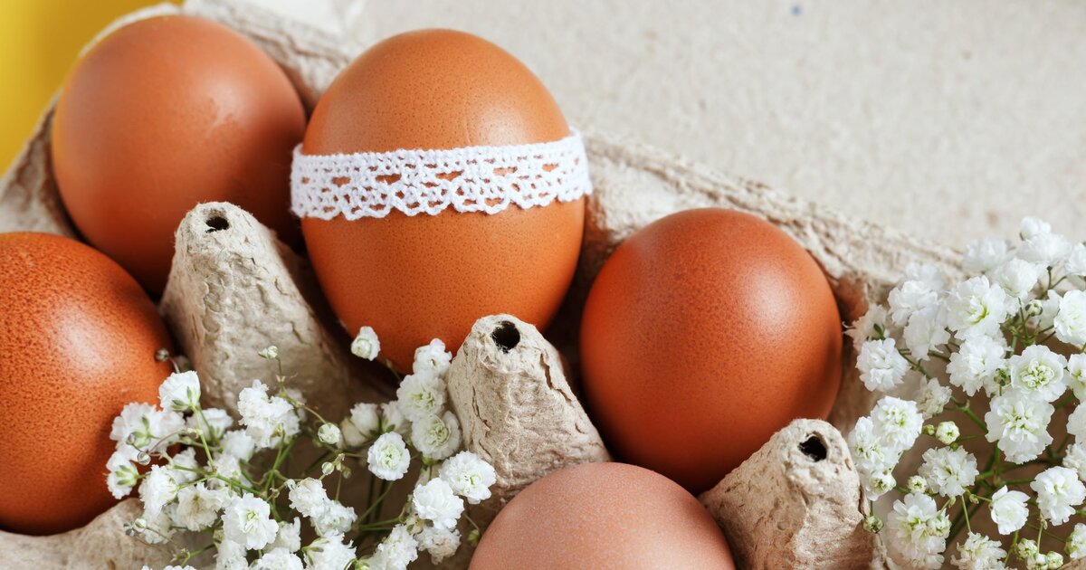 In Welchen Müll Kommen Eierkartons Osterdeko aus Eierkartons: So bastelst du Eierbecher und Co.